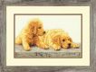 Dimensions 70-35309 Golden Retriever Puppies Dimensions 70-35309 Golden Retriever Puppies